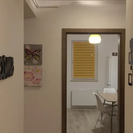 Apartament Robert Брашов
