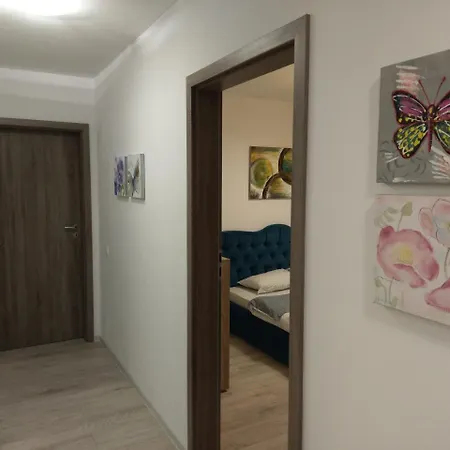 Apartament Robert * Брашов